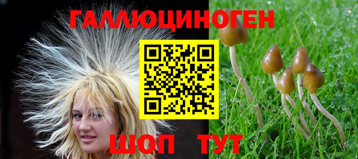 Галлюциногенные грибы мухоморы Кыштым